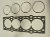 Competition head gasket with separate rings.